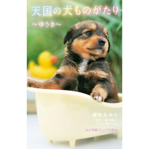 天国の犬ものがたり〜ゆうき〜 / 藤咲あゆな