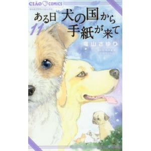 ある日　犬の国から手紙が来て　　１１ / 竜山　さゆり　画