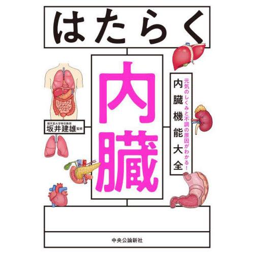はたらく内臓　元気のしくみと不調の原因がわかる！内臓機能大全 / 坂井　建雄　監修