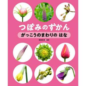 つぼみのずかん　〔第１巻〕 / 稲垣栄洋｜books-ogaki