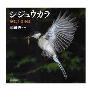 シジュウカラ　庭にくる小鳥 / 嶋田　忠　文・写真