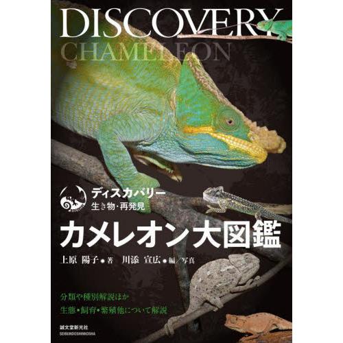 カメレオン大図鑑　分類や種別解説ほか生態・飼育・繁殖について解説 / 上原陽子　著