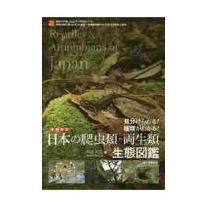 日本の爬虫類・両生類生態図鑑　見分けられる！種類がわかる！ / 川添　宣広　著