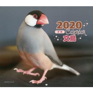 ミニカレンダー　文鳥　２０２０