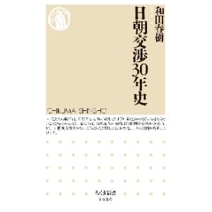 日朝交渉３０年史 / 和田春樹　著