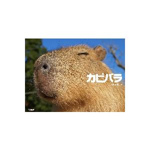 カピバラ / 渡辺　克仁　著｜books-ogaki
