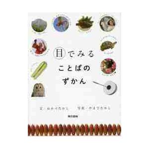 ちょっかい 語源