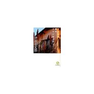 生命力の源マスター・オブ・エナジーの秘密のしくみ 疲労・病気・老化