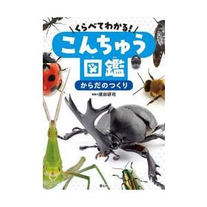 くらべてわかる！こんちゅう図鑑　〔２〕 / 須田研司