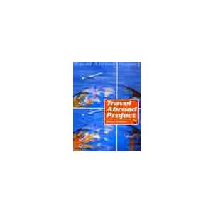 ＴｒａｖｅｌＡｂｒｏａｄＰｒｏｊｅｃｔ / Ｒ．マクマーン　著