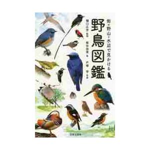 街・野山・水辺で見かける野鳥図鑑 / 樋口　広芳　監修