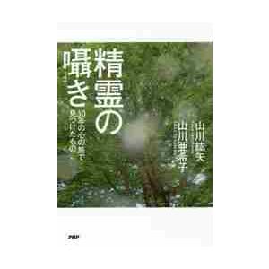 精霊の囁き　３０年の心の旅で見つけたもの / 山川　紘矢　著