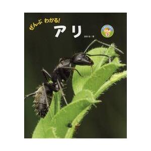 ぜんぶわかる！アリ / 島田　拓　著