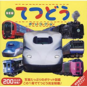 SAPIX 小4 サピックス 算数 基礎力トレーニング 【計12回分】 2019