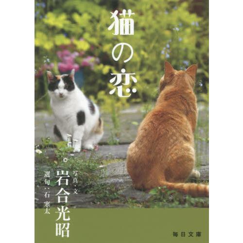 猫の恋 / 岩合　光昭　写真・文