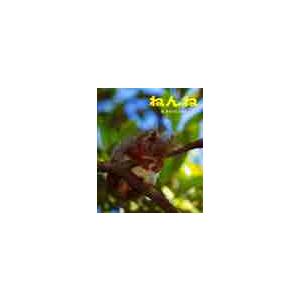 ねんね / さえぐさ　ひろこ　文