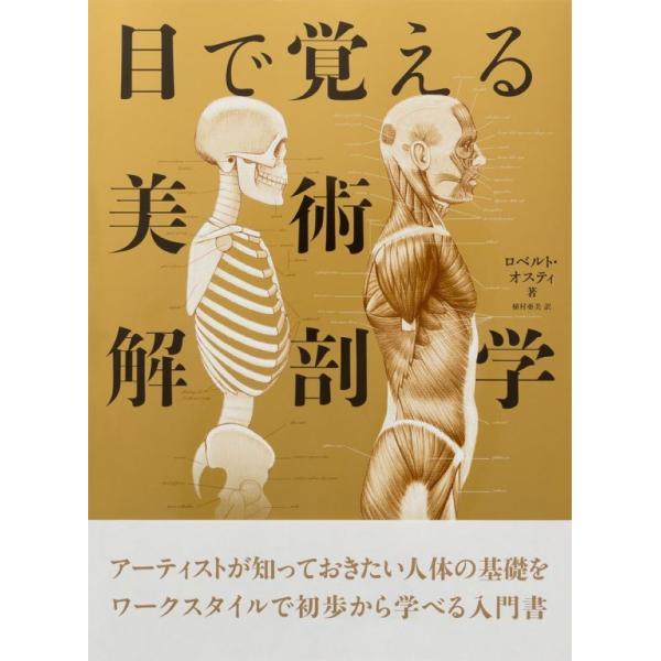 目で覚える美術解剖学 / Ｒ．オスティ　著