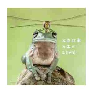写真絵本　カエルＬＩＦＥ