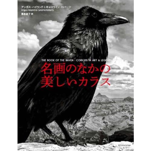 名画のなかの美しいカラス / アンガス・ハイランド