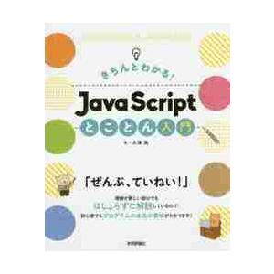 きちんとわかる！ＪａｖａＳｃｒｉｐｔとことん入門 / 大津　真　著