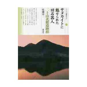 古墳時代研究の現状と課題 下 / 土生田純之／編 亀田修一／編 : 京都
