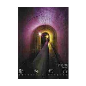胎内都市　暗闇の世界にひろがる地下水道の迷宮 / 白汚　零　著