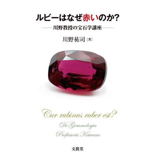 ルビーはなぜ赤いのか？　川野教授の宝石学講座 / 川野祐司