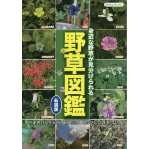 野草図鑑　身近な野草が見分けられる　日本の野草を季節ごとに網羅した野草図鑑の決定版！｜books-ogaki