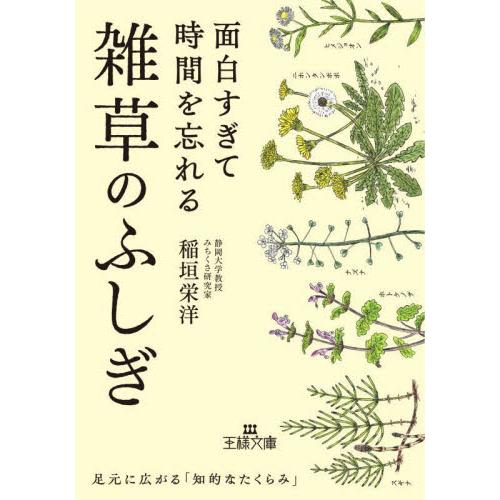 面白すぎて時間を忘れる雑草のふしぎ / 稲垣栄洋　著