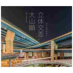 高速道路 大阪 事故