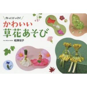 日本写真企画 作ってびっくり かわいい草花あそび 相澤悦子/著