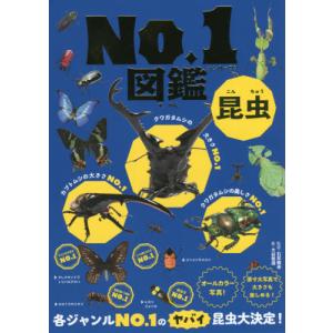 昆虫　Ｎｏ．１図鑑 / 石井　雅幸　監修