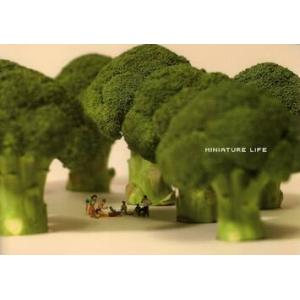 ＭＩＮＩＡＴＵＲＥ　ＬＩＦＥ　Ｃｏｎｃｅｐｔｕａｌ　ａｒｔ　ｏｆ　ＭＩＮＩＡＴＵＲＥ　ＣＡＬＥＮＤＡ...