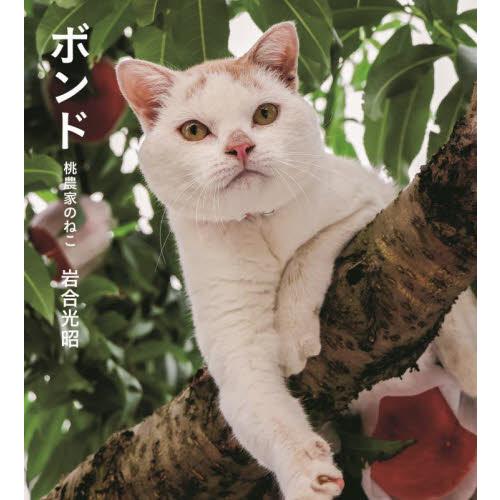 ボンド　桃農家のねこ / 岩合光昭