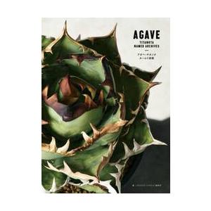 アガベ胴切り天&地　合計8株　ネームド株 アガベ胴切り天&地 合計8株 ネームド株 アガベ胴切り天&地 合計8株