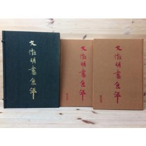 定本 遠州の南画／村松以弘・平井顕斎・福田半香・永村茜山 他／静岡