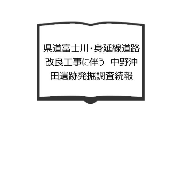 県道富士川・身延線道路改良工事に伴う　中野沖田遺跡発掘調査続報／静岡県静岡土木事務所／富士川町教育委...