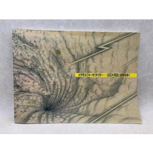 国訳禅宗叢書 第1輯 第1巻 ／国民文庫刊行会編輯／第一書房 : 太田書店