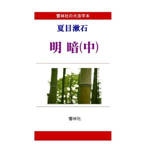 【大活字本】夏目漱石「明暗（中）」（全3巻）（響林社の大活字本シリーズ）　三省堂書店オンデマンド