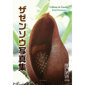 河合塾 物理(電磁気) 発展 テキスト 2022 夏期講習 苑田尚之 004s0D