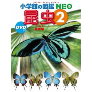 小学館の図鑑 NEO 昆虫２ ＤＶＤつき 地球編｜books-sanseido