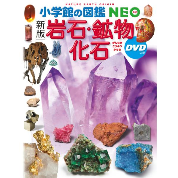 小学館の図鑑 NEO 〔新版〕岩石・鉱物・化石　ＤＶＤつき