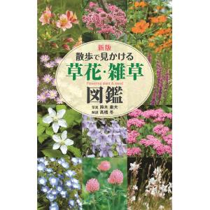 新版　散歩で見かける草花・雑草図鑑｜books-sanseido