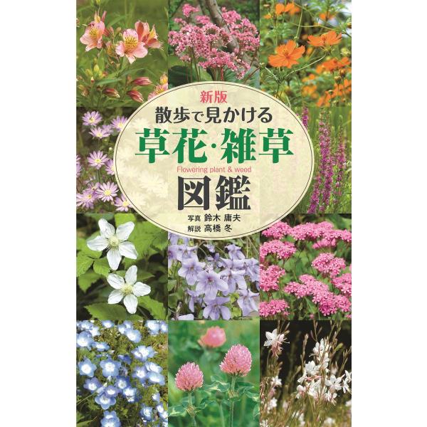 新版　散歩で見かける草花・雑草図鑑