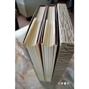 『MINOTAURE(ミノトール)IIIIII...の詳細画像2