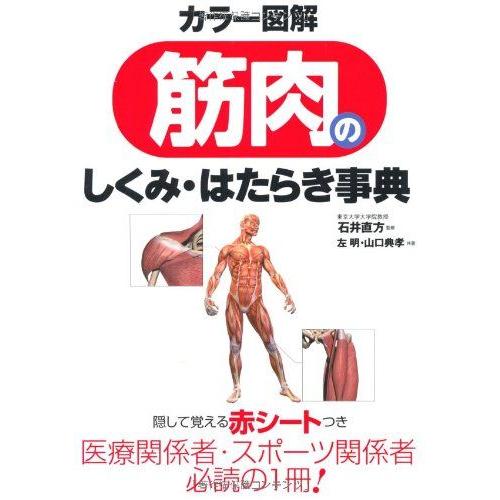 カラー図解 筋肉のしくみ・はたらき事典 [単行本] 左 明、 山口　典孝; 石井　直方