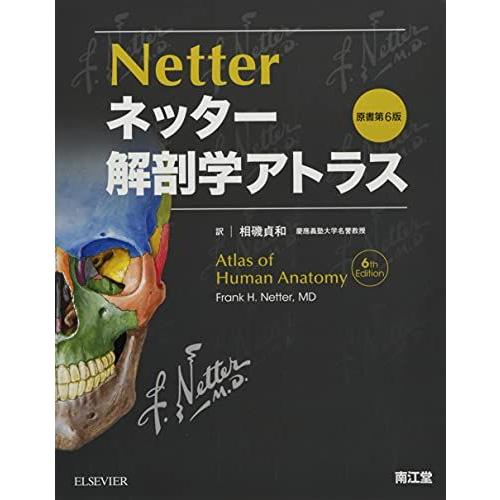 [A01367901]ネッター解剖学アトラス原書第6版 F.H.Netter; 相磯貞和