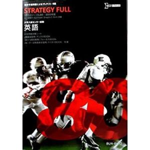 STRATEGY FULL 80 minutes 2013年 室井美稚子