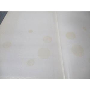 永末書店 部分床義歯学 1977 中沢勇 04...の詳細画像4