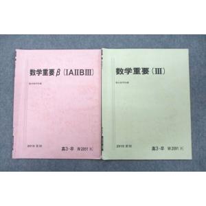 VE25-046 駿台 数学重要β IAIIB/III テキスト 2019 夏期 計2冊 06s0B